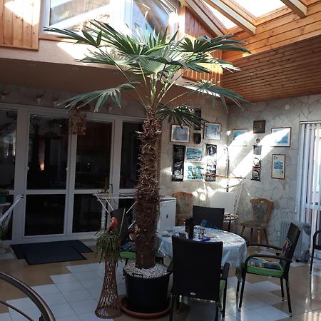 Kenezy Lux Apartman Vendeghaz Hajdúszoboszló Dış mekan fotoğraf
